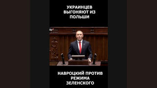 Проверка факта: Президент Навроцкий НЕ заявлял, что выгонит украинцев, поддерживающих Зеленского, из Польши 